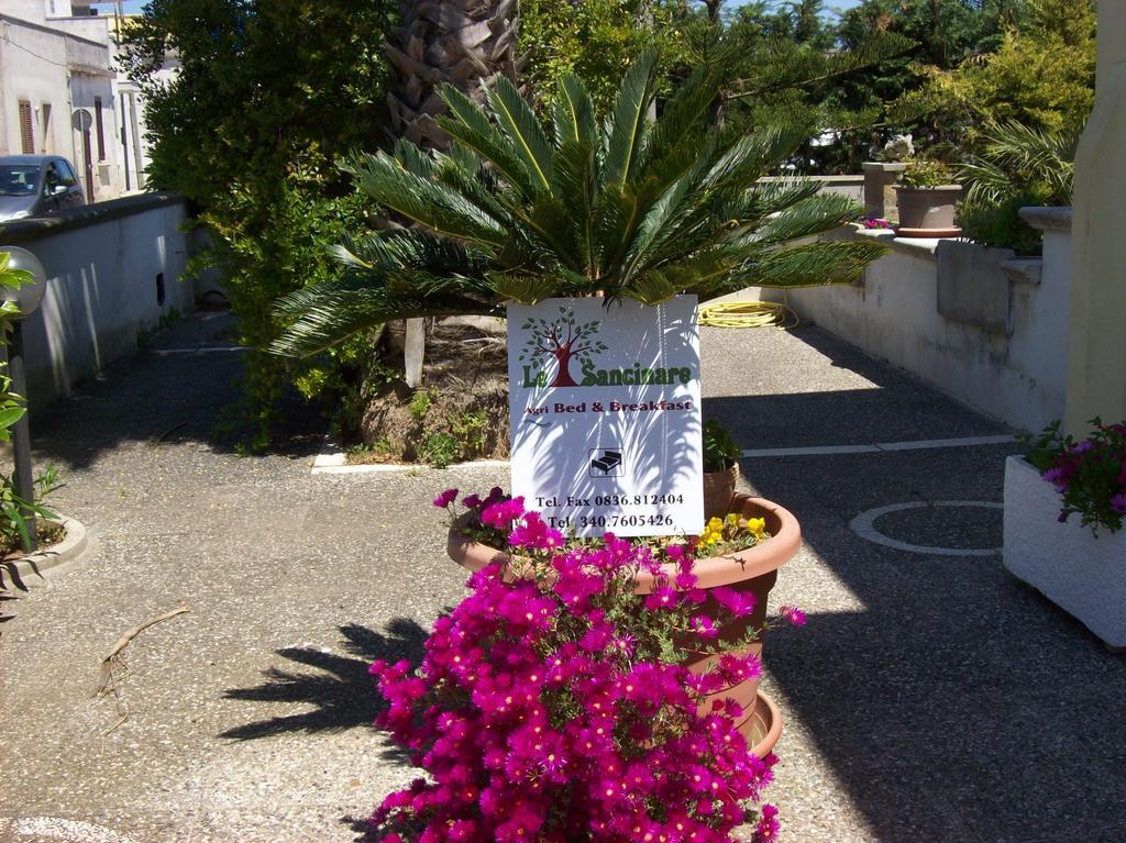 Casamassella Otranto Le Sancinare Bed & Breakfast エクステリア 写真