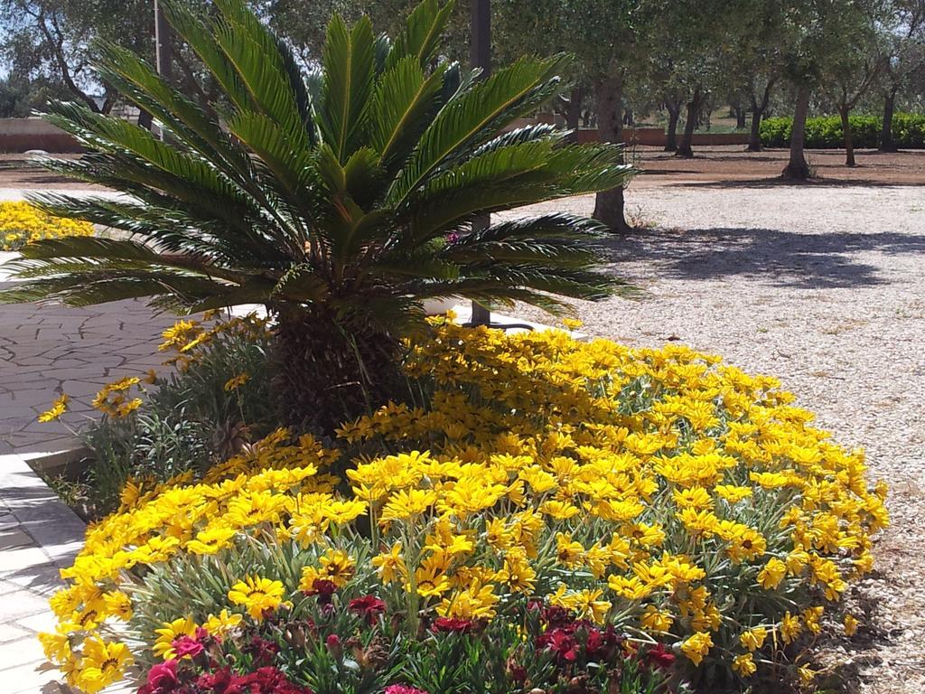 Casamassella Otranto Le Sancinare Bed & Breakfast エクステリア 写真